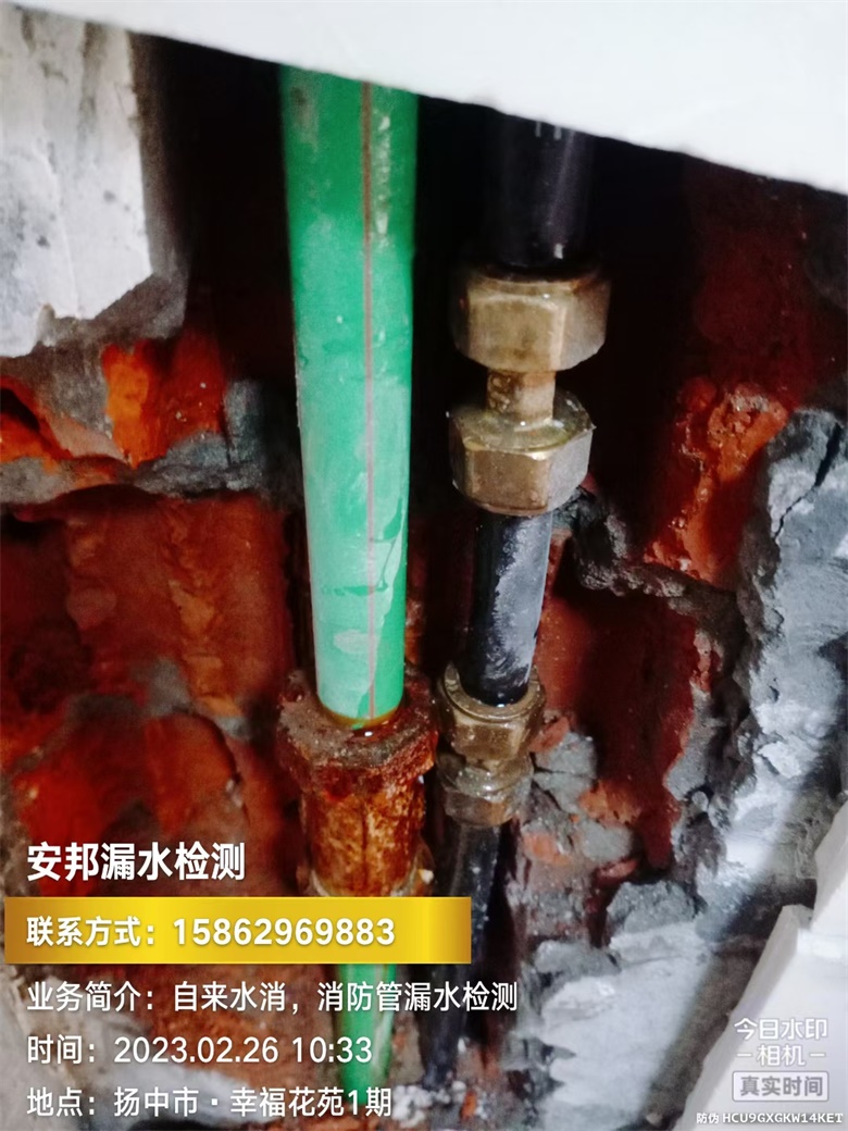 揚(yáng)中市漏水檢測(cè)--幸?；ㄔ?期