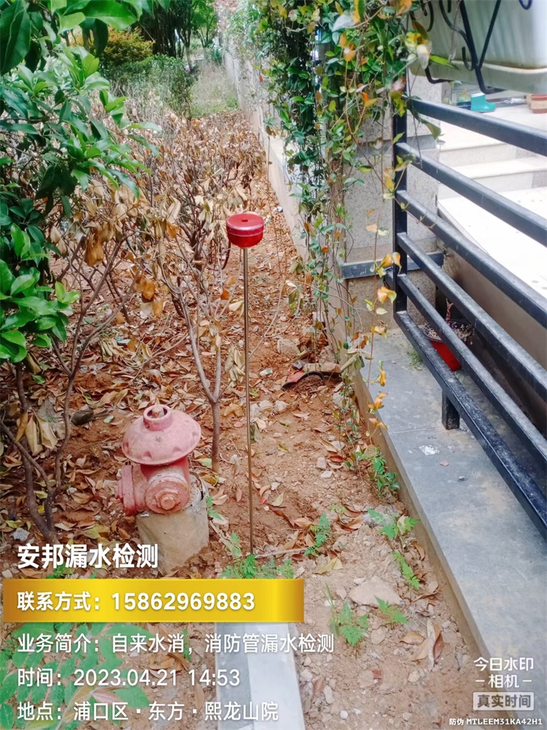2023-04-21南京市浦口區(qū)東方熙龍山院.jpg